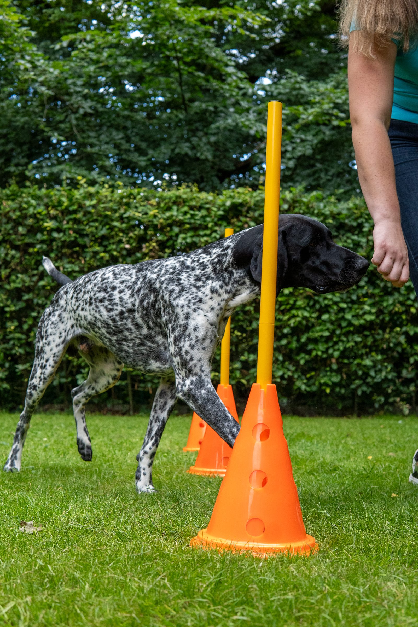 Michelle Fernströning bei der Behandlung eines Hundes